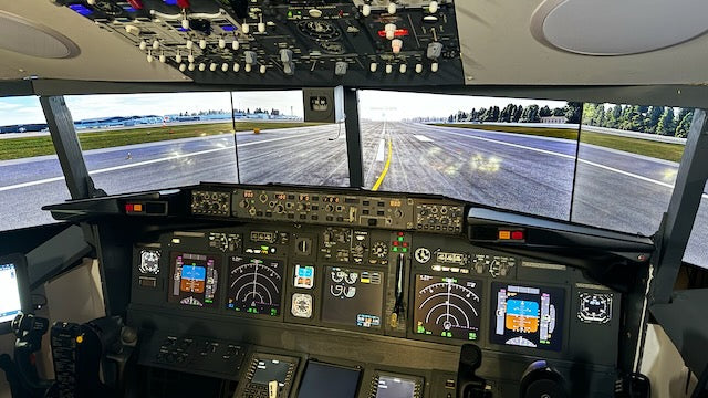 30 Minute - Boeing 737-800 Flight Simulator Experience