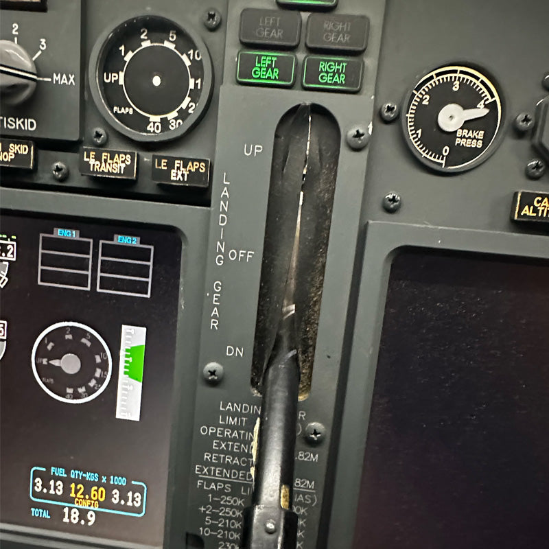 60 Minute - Boeing 737-800 Flight Simulator Experience