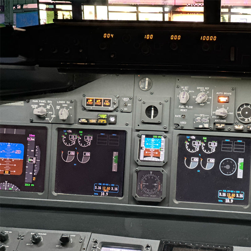 30 Minute - Boeing 737-800 Flight Simulator Experience